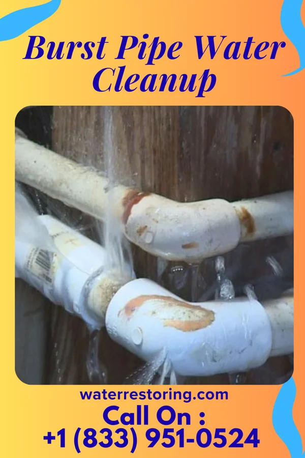 Burst Pipe Water Cleanup in Fisherville, PA