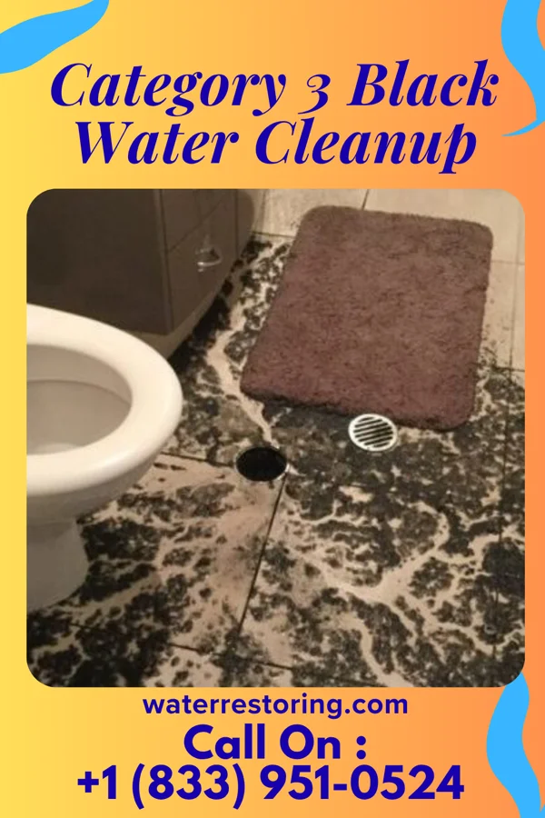 Category 3 Black Water Cleanup in Fisherville, PA