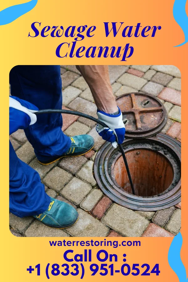 Sewage Water Cleanup in Fisherville, PA