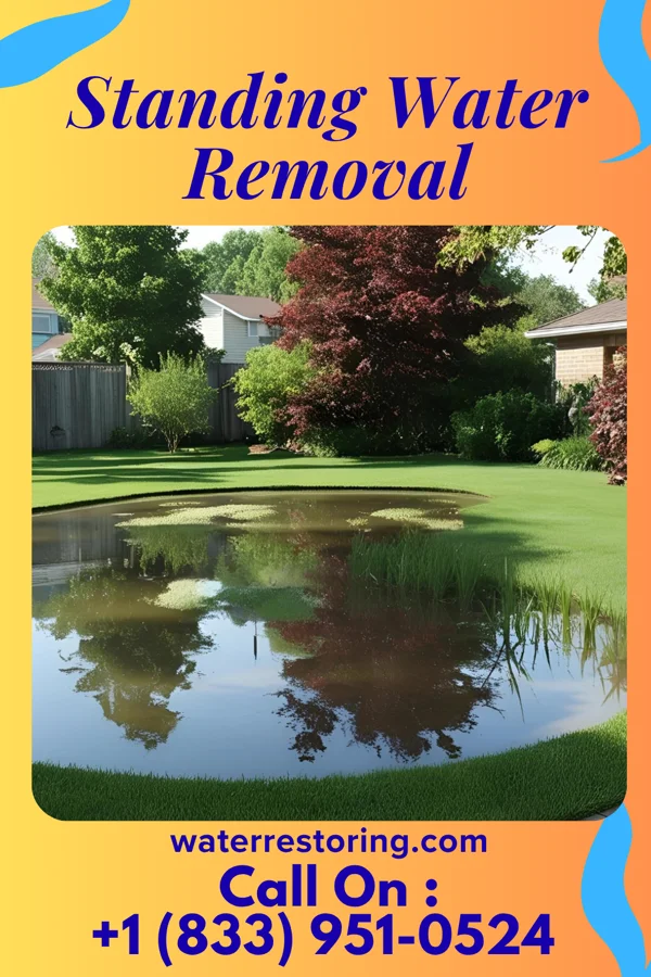 Standing Water Removal in Fisherville, PA